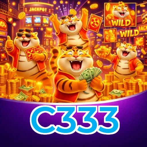 Métodos de pagamento aceitos na C333